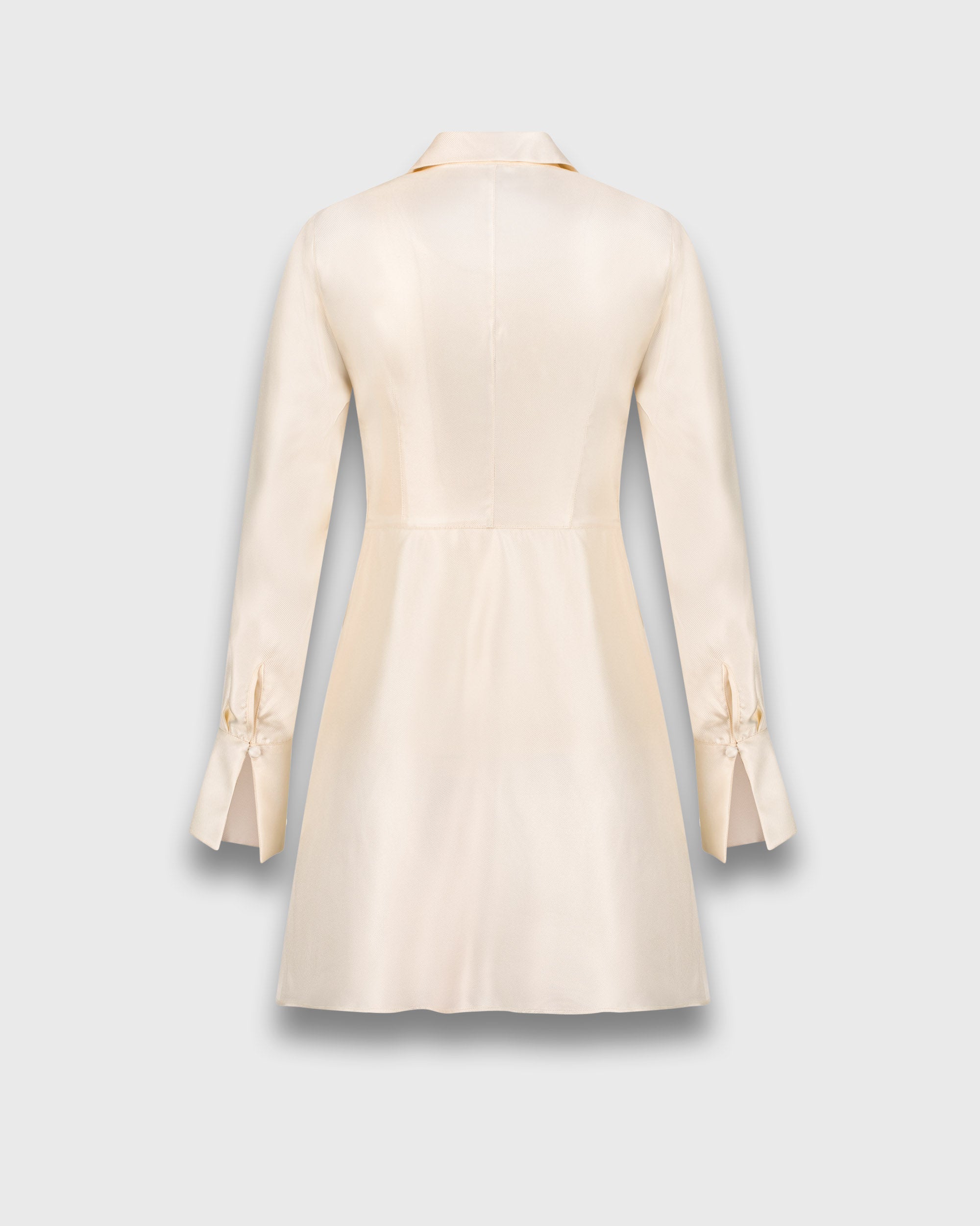 Nyra Silk Dress
